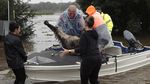 Aksi Selamatkan Hewan Peliharaan dari Kepungan Banjir Australia