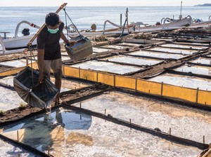 Segmen Mikro Kian Tangguh, BRI Optimis Pelaku UMKM Kembali Ekspansi