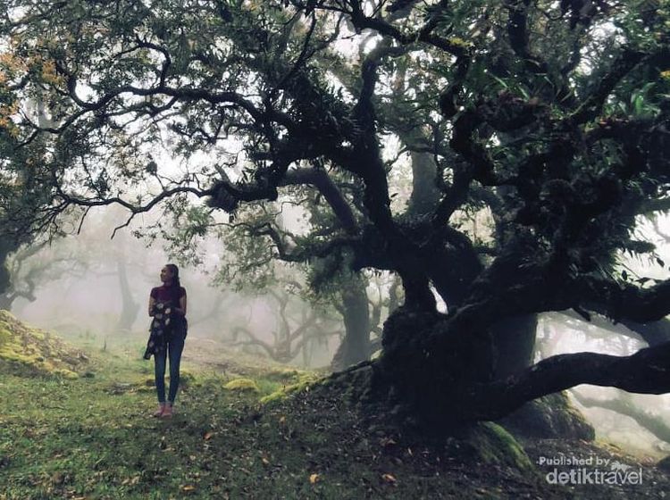 Desa Fatumnasi Membuat Kalian Merasa di Negeri Dongeng