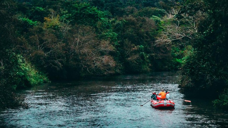 Gajah dan river tubing di Ekowisata Tangkahan