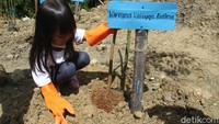 Areal yang dikelola oleh Lembaga Masyarakat Desa Hutan Tugu Utara tersebut juga atas kerja sama GAIA Eko Daya Buana sebagai mitra.