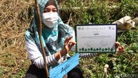 Penanaman pohon rencananya akan menargetkan sebanyak satu juta pohon yang dilakukan sampai tahun 2024 mendatang secara bertahap.