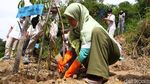 Melihat Aksi Tanam Sejuta Pohon di Lahan Longsor