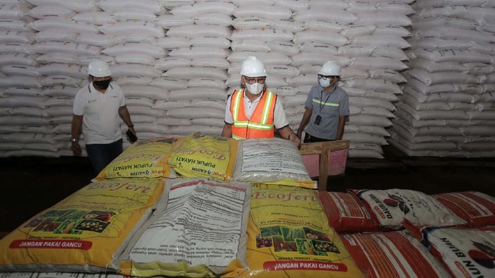Musim tanam pertama 2021 dimulai Maret-April 2021. Ketersediaan pupuk untuk petani pun terus dipantau. Salah satunya di gudang Pupuk Kaltim di Tabanan, Bali.