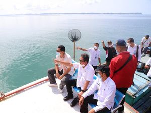 Trenggono Ingin Lombok Jadi Pusat Budi Daya Lobster Kelas Dunia