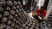 Aneka jenis jamur diantaranya Jamur Kuping, Tiram Putih dan Coklat yang berbahan dasar serbuk gergaji kayu Sengon dan Dolomit sebagai media pengomposan.