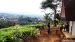 Objek Wisata di Puncak Bertahan dari Hantaman Pandemi Corona