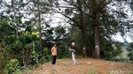 Objek Wisata di Puncak Bertahan dari Hantaman Pandemi Corona