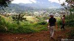 Objek Wisata di Puncak Bertahan dari Hantaman Pandemi Corona