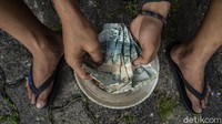 Uang dari hasil mengarak ondel-ondel itu digunakan Adit untuk keperluan jajan sehari-hari.