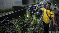 Pohon tumbang itu diketahui terjadi sekitar pukul 17.00 WIB.