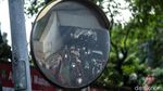 Waduh, Lalin di Kolong Semanggi Macet Gegara Pohon Tumbang