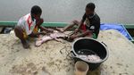 Foto: Suku Bauzi di Papua yang Hobi Berburu Buaya