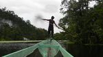 Foto: Suku Bauzi di Papua yang Hobi Berburu Buaya