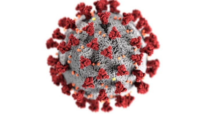 Covid-19: Mutasi ganda varian virus corona ditemukan di India