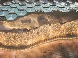 Tak Cuma Bulan, di Mars Juga Mau Dibangun Perumahan Manusia