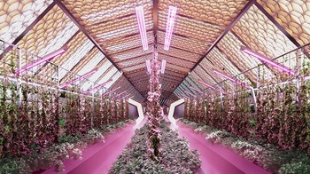 Di kaki tebing, ada paviliun besar yang dirancang tembus pandang, menawarkan pemandangan lanskap Mars dan ruang untuk berinteraksi sosial. Foto: ABIBOO studio / SONet