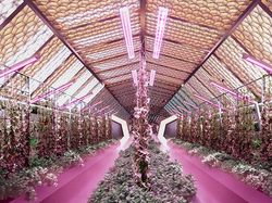 Tak Cuma Bulan, di Mars Juga Mau Dibangun Perumahan Manusia