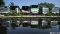 Deretan bus tak layak jalan tersebut dibiarkan seperti kuburan bus.