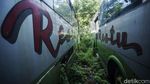 Intip Foto Kuburan Bus Rongsok di Tambun