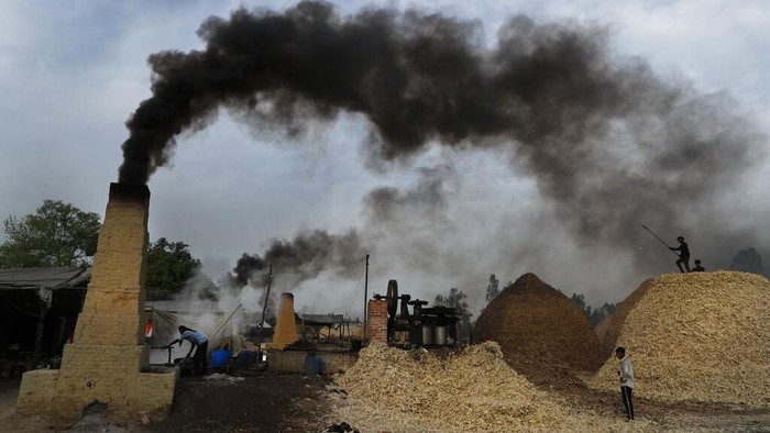 A woman carries discarded sugarcane fibre, obtained after extracting the juice to make jaggery, on the outskirts of Bareilly, India, Tuesday, March 23, 2021. Jaggery is a traditional unrefined sugar consumed in many parts of Asia, made from molasses of sugarcane and date palm sap. (AP Photo/Rajesh Kumar Singh)