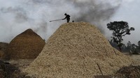 Gundukan serat tebu tampak memenuhi rumah produksi Jaggery.  