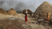 Hingga kini masih banyak pabrik tradisional yang memproduksi Jaggery di India.  