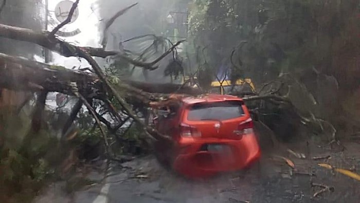 Mobil rusak tertimpa pohon di Puncak, Cianjur.