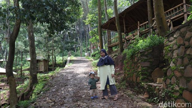 Monyet ekor panjang di obyek wisata Karang Gantungan