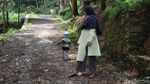 Konon, Jumlah Monyet di Obyek Wisata Ini Tidak Bertambah atau Berkurang