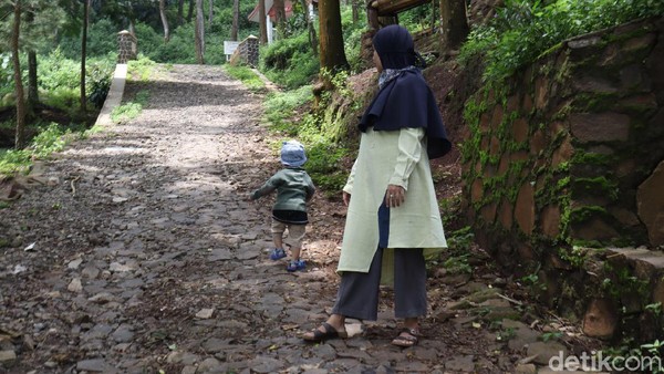 Di sini, traveler pun bisa merasakan interaksi dengan monyet ekor panjang secara lebih dekat. Obyek wisata ini selalu ramai di kala weekend. Biasanya wisatawan yang datang ke sini hendak mengajak sanak keluarga mereka (Wisma Putra/detikTravel) Di sini, traveler pun bisa merasakan interaksi dengan monyet ekor panjang secara lebih dekat. Obyek wisata ini selalu ramai di kala weekend. Biasanya wisatawan yang datang ke sini hendak mengajak sanak keluarga mereka (Wisma Putra/detikTravel)
