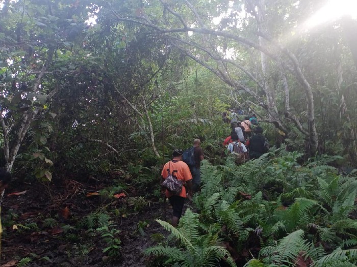 Tim gabungan saat mengevakuasi tiga orang yang diduga dibunuh oknum anggota suku Togutil di hutan Patani Timur, Halmahera Tengah (dok Polda Malut)