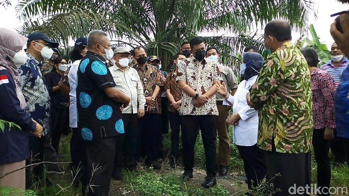 Wali Kota Medan, Bobby Nasution, meninjau lahan di Desa Limau Mungkur, Kecamatan STM Hilir, Deli Serdang.