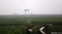 Tak hanya di jalan raya, kawasan pertanian warga yang ada di jalan itu seperti lahan sawah juga diselimuti kabut tebal.