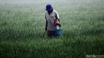 Brrrr... Pagi Ini Bandung Berselimut Kabut