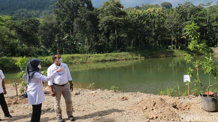 dam kali kawat
