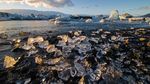 Keren Banget! Pantai Berlian Punya Kilau di Atas Pasirnya yang Hitam