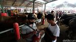 Geliat Pasar Hewan di Lereng Merapi yang Buka Tiap Pahing