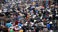 Begini suasana di pasar hewan Jelok Cepogo, Boyolali, saat pasar hewan tersebut dibuka. Pedagang dan pembeli berdatangan untuk melakukan transaksi jual beli sapi.