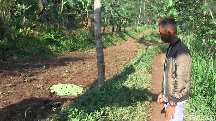 Seorang guru ngaji di Lumajang ditemukan tewas dengan kondisi mengenaskan. Polisi memastikan guru ngaji terebut menjadi korban pembunuhan.
