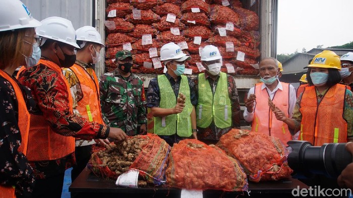 jahe impor asal myanmar dan india