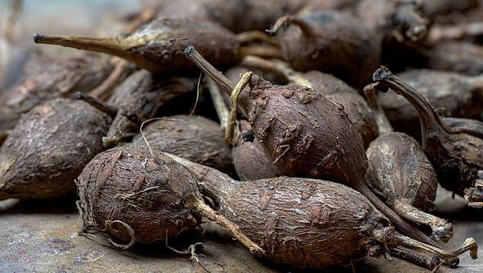 kacang kentang, makanan super kacang kentang, makanan super asal Amerika yang tinggi serat