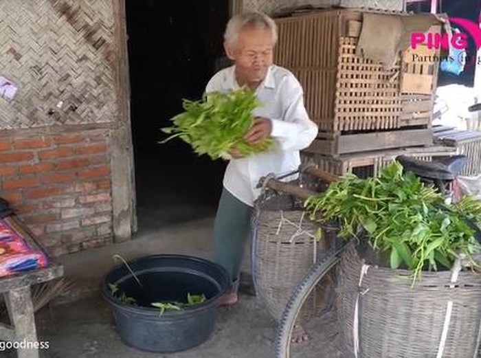kakek 83 tahun penjual kangkung keliling kakek 83 tahun penjual kangkung keliling yang masih semangat mencari nafkah demi memenuhi kebutuhan hidupnya.