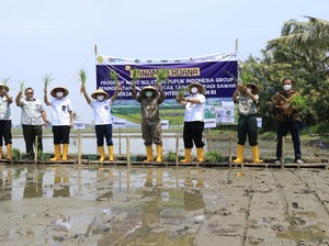 1,98 Juta Ton Pupuk Subsidi Disebar Jelang Musim Tanam Kedua