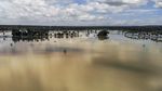 Waduh, Lahan Pertanian di Pangandaran Terendam Banjir Lagi