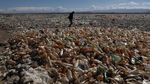 Miris! Sampah Botol Plastik Selimuti Sungai di Bolivia