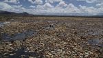 Miris! Sampah Botol Plastik Selimuti Sungai di Bolivia