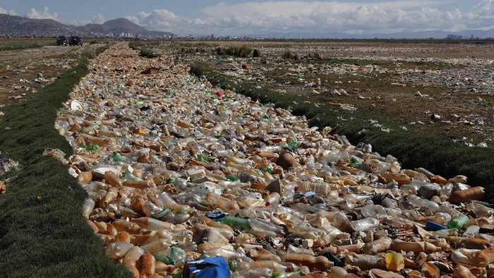 Miris! Sampah Botol Plastik Selimuti Sungai di Bolivia Flamingos feed in Uru Uru Lake, a few miles from an area completely covered in plastic bottles and other garbage near Oruro, Bolivia, Thursday, March 25, 2021. (AP Photo/Juan Karita)