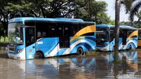 Sejumlah bus yang terparkir di halaman kantor, juga ikut terendam banjir. Selain itu, para karyawan yang hendak masuk ke kantor harus diangkut menggunakan mobil bak terbuka.
