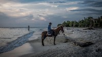 Suku Sasak Sade sudah terkenal di kalangan wisatawan. Dapat dikatakan, Sade adalah cerminan suku asli Sasak Lombok.